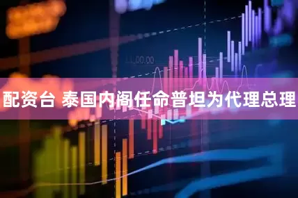 配资台 泰国内阁任命普坦为代理总理
